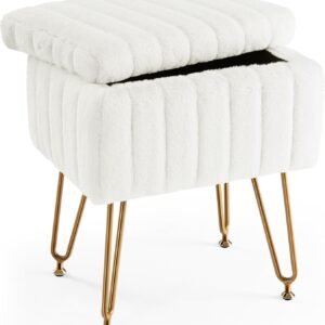 Vanity Stool Chair with Storage